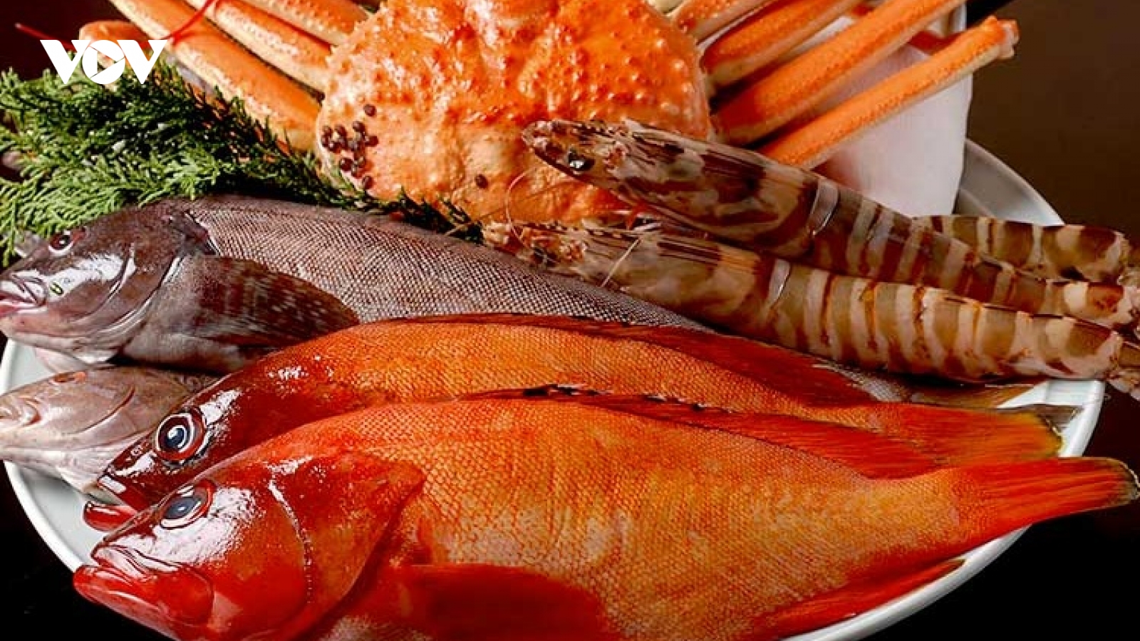 Căng thẳng ngoại giao với Trung Quốc ảnh hưởng kinh tế Nhật Bản