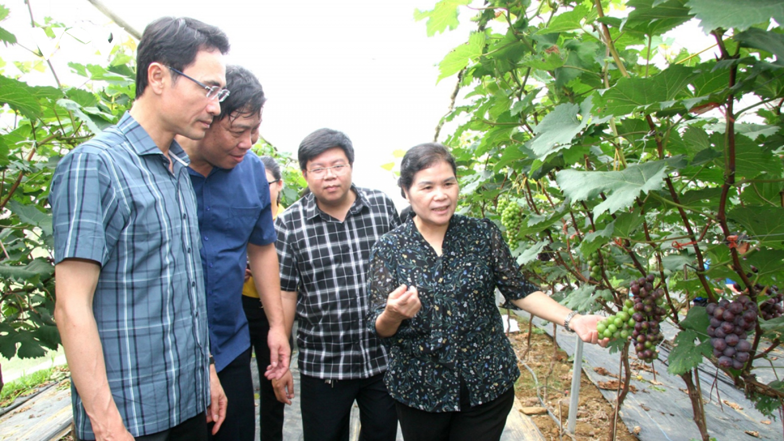 Nửa nhiệm kỳ với mục tiêu "đưa Lai Châu trở thành tỉnh phát triển trong khu vực"