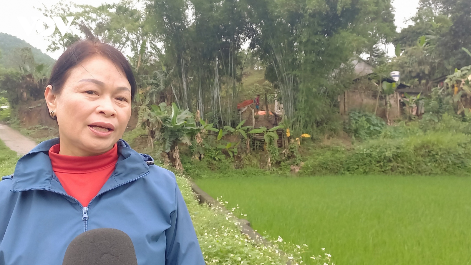 500 lá đơn xin thoát nghèo và câu chuyện tự trọng ở Quảng Ninh