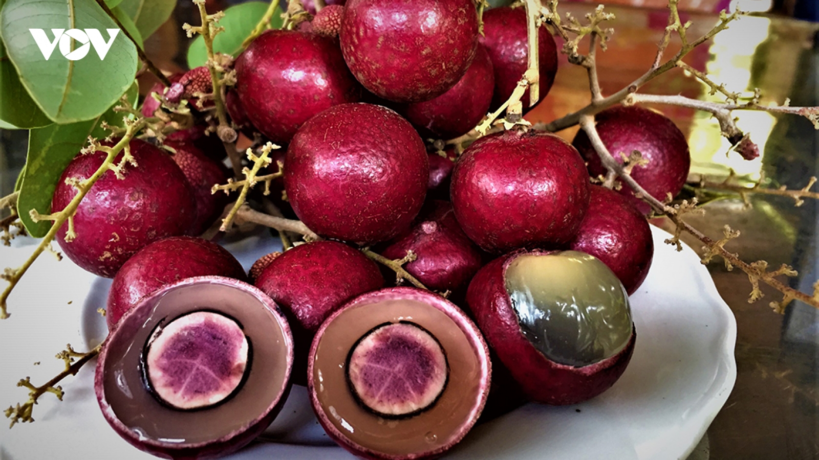 Nhãn tím từng gây "sốt” nay thành hàng bình dân