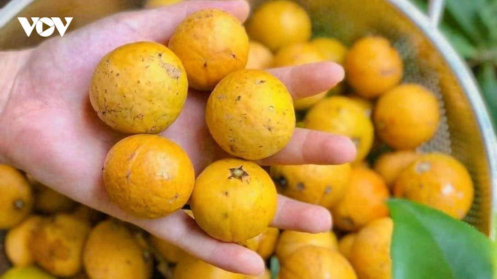 Đặc sản “gây thương nhớ” ở Hà Nội
