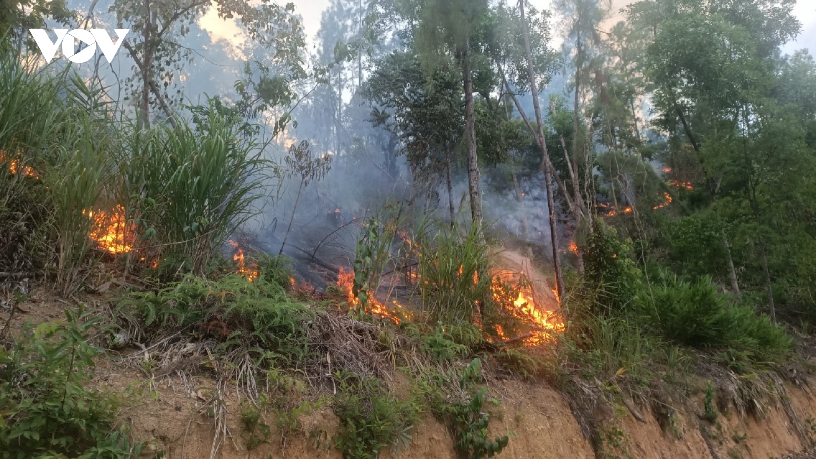 Thừa Thiên Huế điều tra nguyên nhân 2 vụ cháy rừng