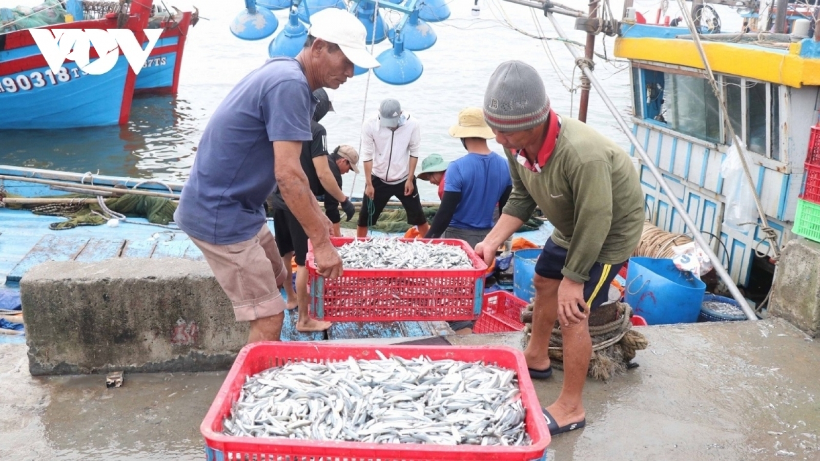Kinh tế biển Việt Nam hướng tới chuẩn xanh, phát triển bền vững