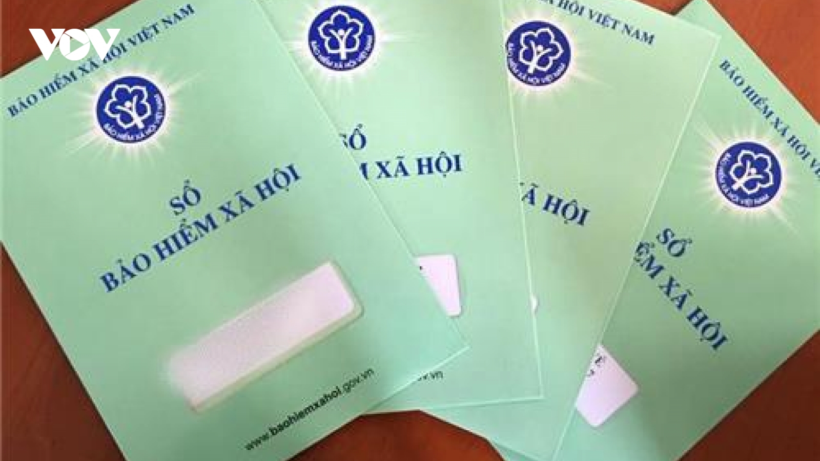 Bị phạt tù vì trốn đóng Bảo hiểm xã hội