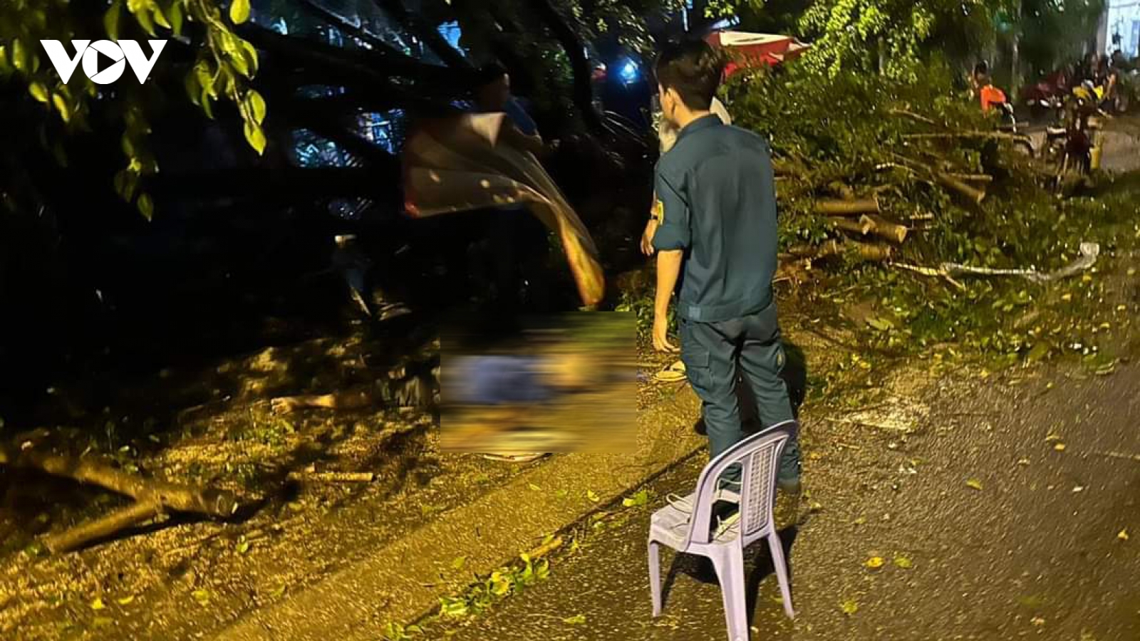 Người đàn ông tử vong do bị cây đổ đè vào người khi đang trú mưa