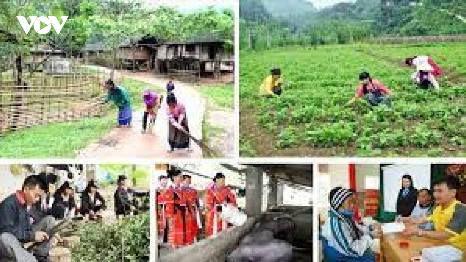 Xóa đói giảm nghèo ở Việt Nam - Kết quả và những bài học