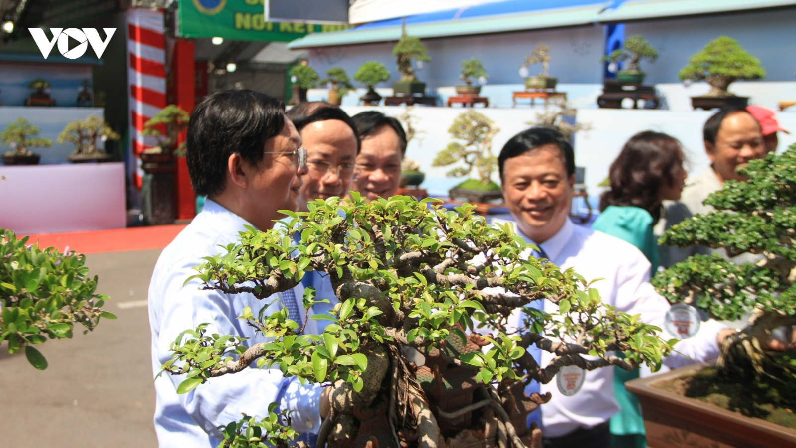 Khai mạc triển lãm và hội thi Sinh vật cảnh khu vực Miền Trung - Tây Nguyên