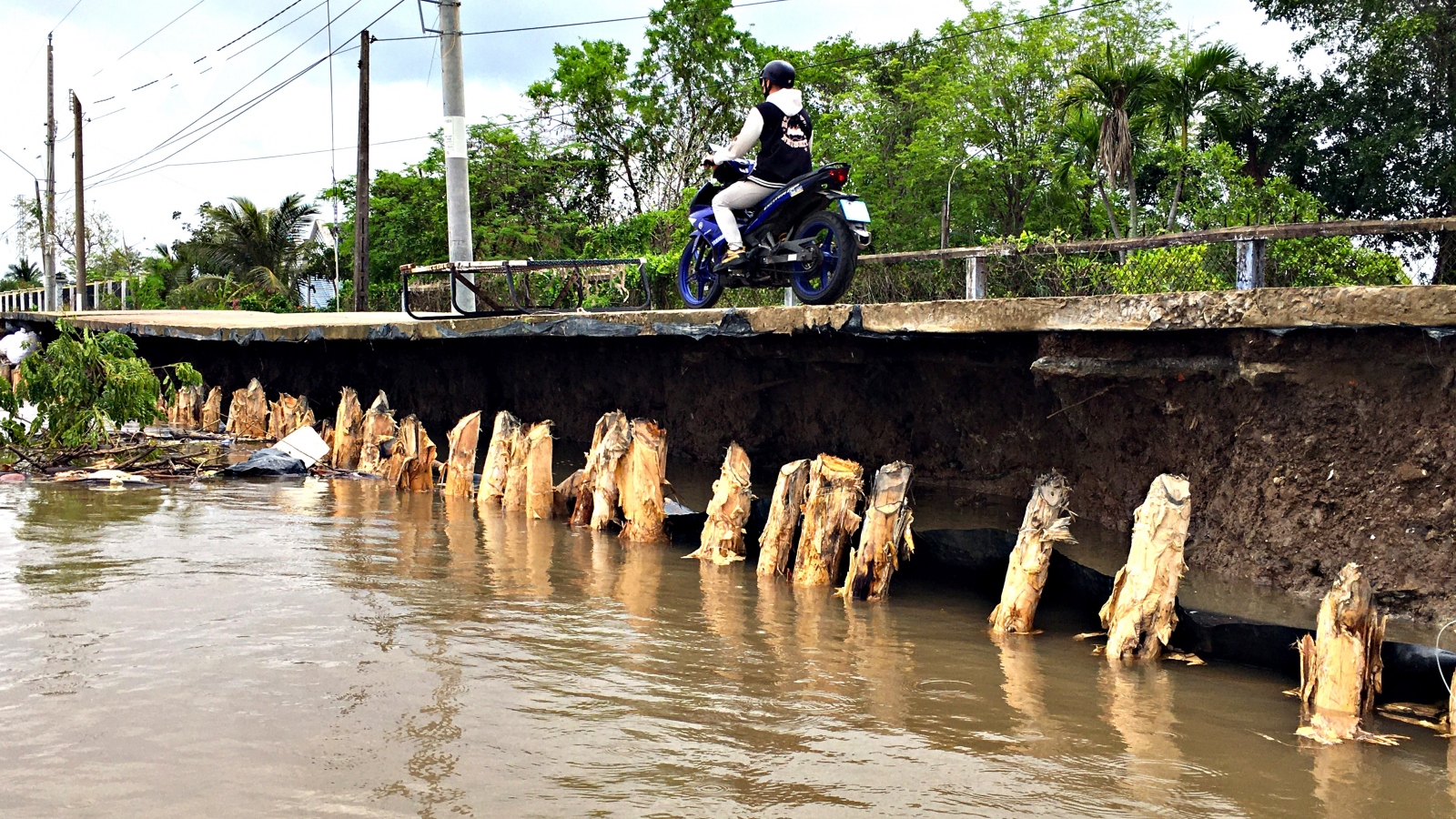 Người dân Cà Mau hỗ trợ nhau làm kè chống sạt lở