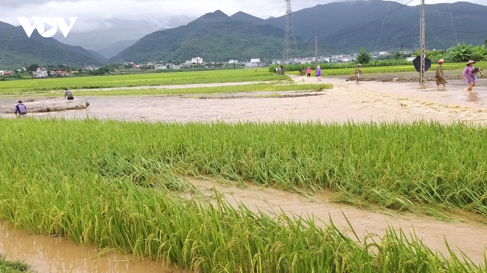 Lũ lớn gây thiệt hại nặng tại Phù Yên, Sơn La