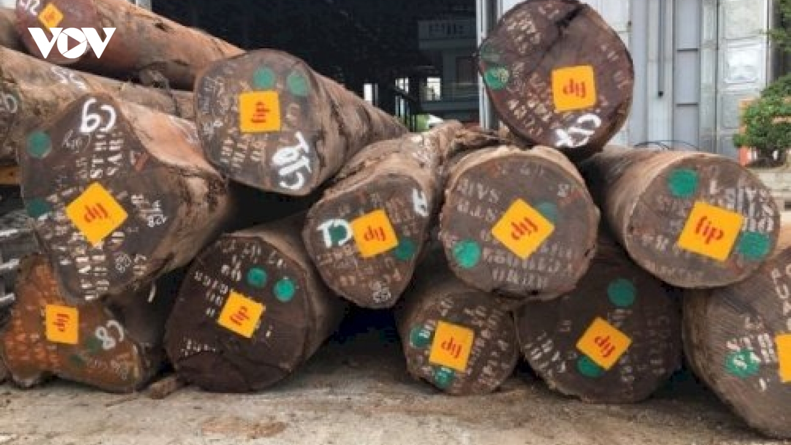 Công bố danh mục các loại gỗ đã nhập khẩu vào Việt Nam