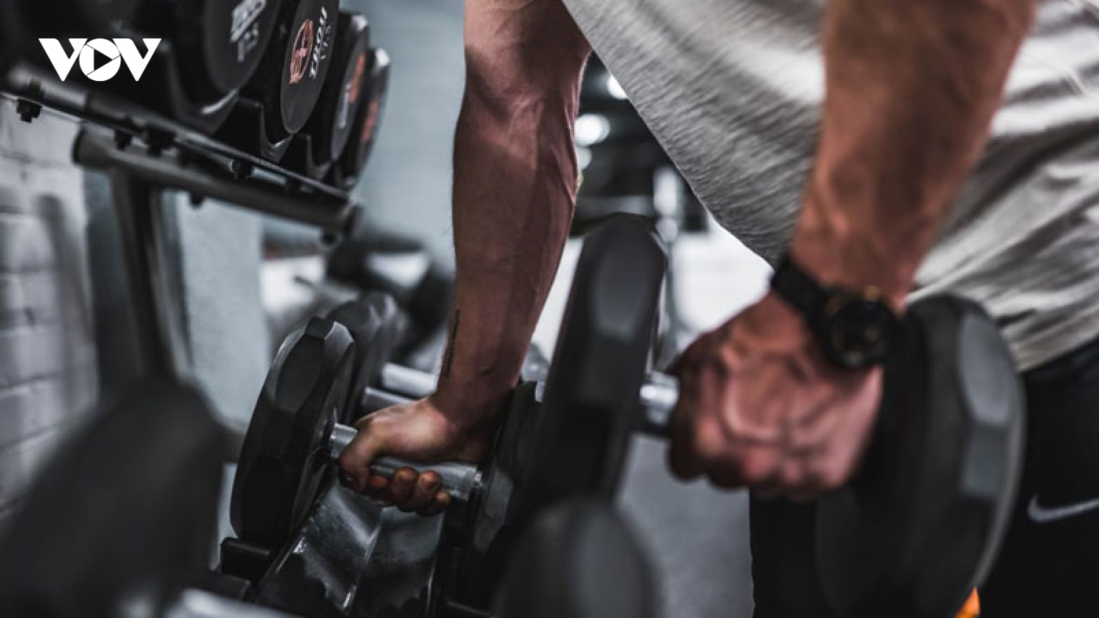 Nguồn protein lý tưởng giúp duy trì cân nặng, cải thiện sức khoẻ