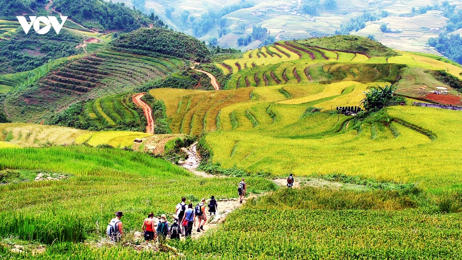 Nghỉ lễ 2/9, nhiều gia đình chọn du lịch gần, ngắn ngày