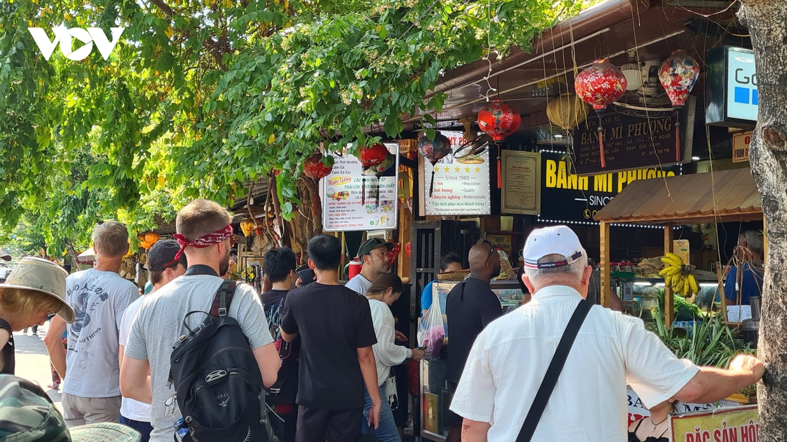 Phát hiện vi khuẩn sinh độc tố trong bánh mì Phượng
