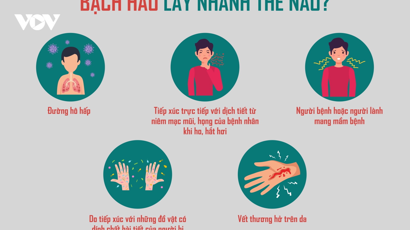 Đà Nẵng tăng cường kiểm soát bệnh bạch hầu