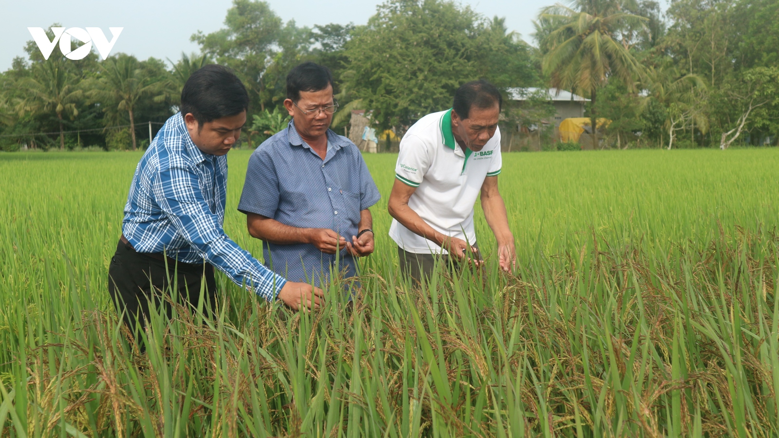 Tấm gương người cao tuổi dân tộc thiểu số làm kinh tế giỏi, thu nhập tỷ đồng