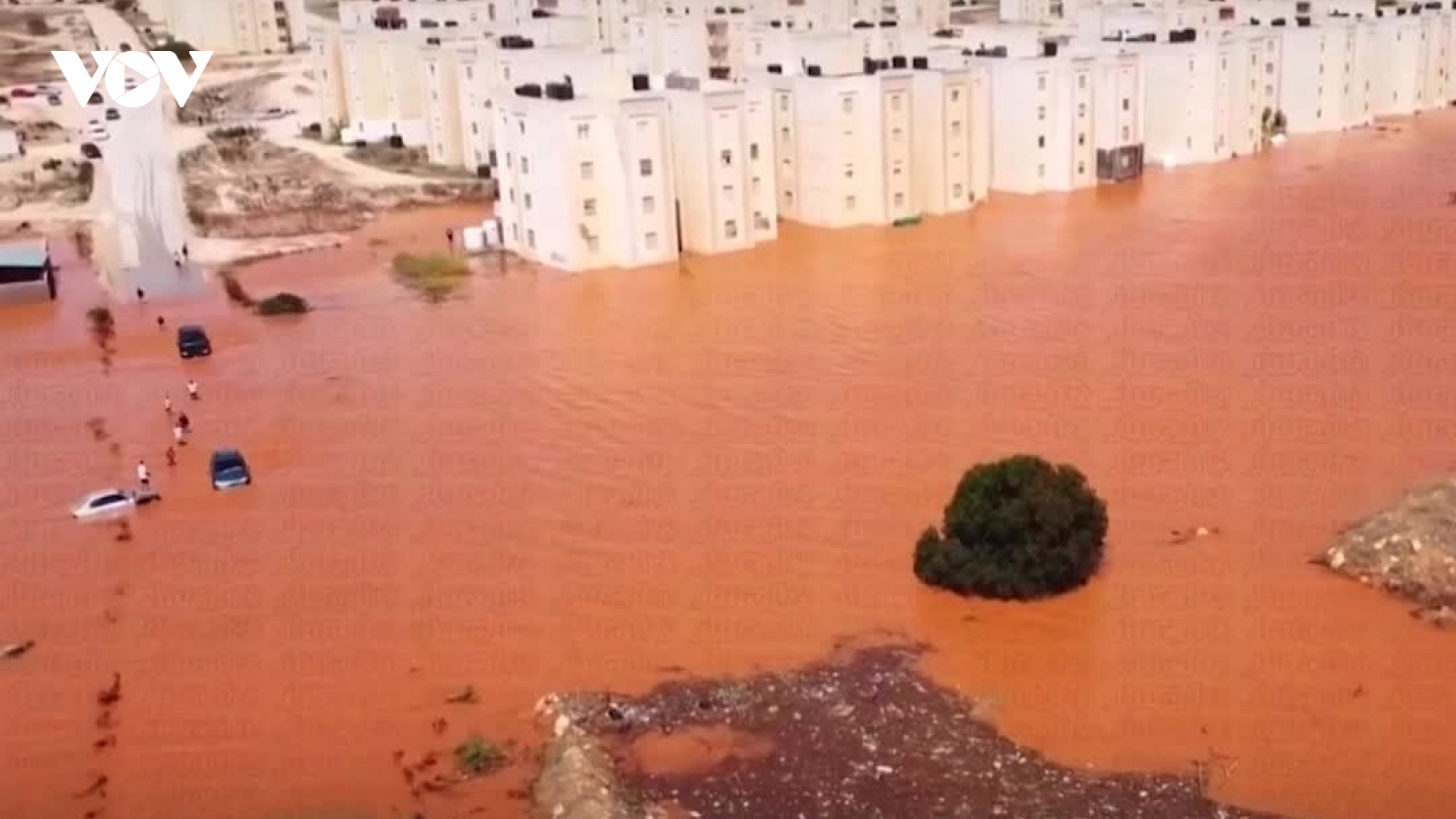 Trà miễn phí và tình người sau lũ ở Libya