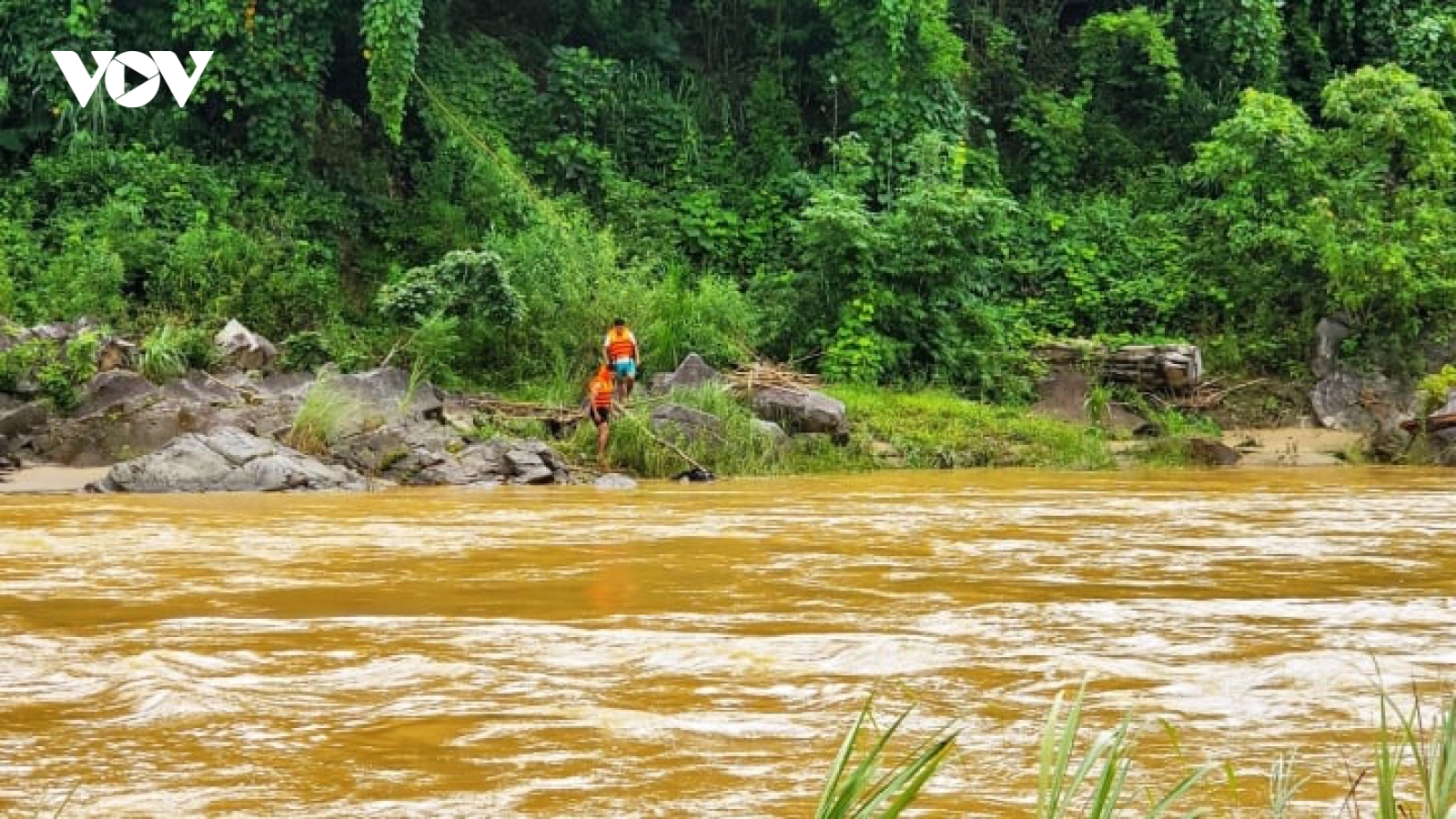 Lội qua suối để vào rẫy gặt lúa, người phụ nữ ở Quảng Nam bị lũ cuốn thiệt mạng