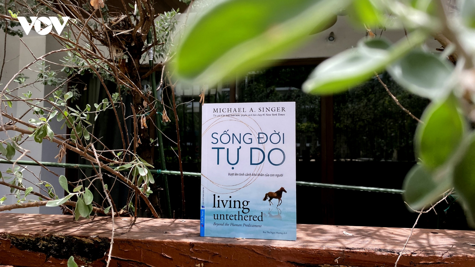 Sống đời tự do - Học cách để sống một cuộc đời an lạc