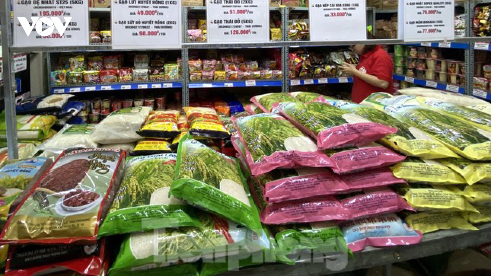 Giá gạo xuất khẩu của Việt Nam giảm tới 15 USD/tấn chỉ trong 2 ngày liên tiếp
