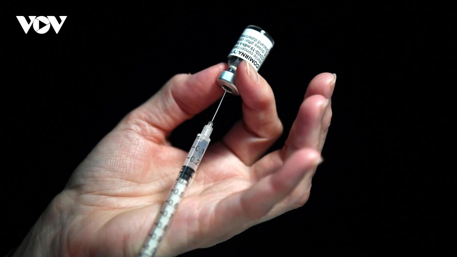 Châu Âu "bật đèn xanh" cho vaccine Covid-19 mới của hãng Pfizer/BioNtech