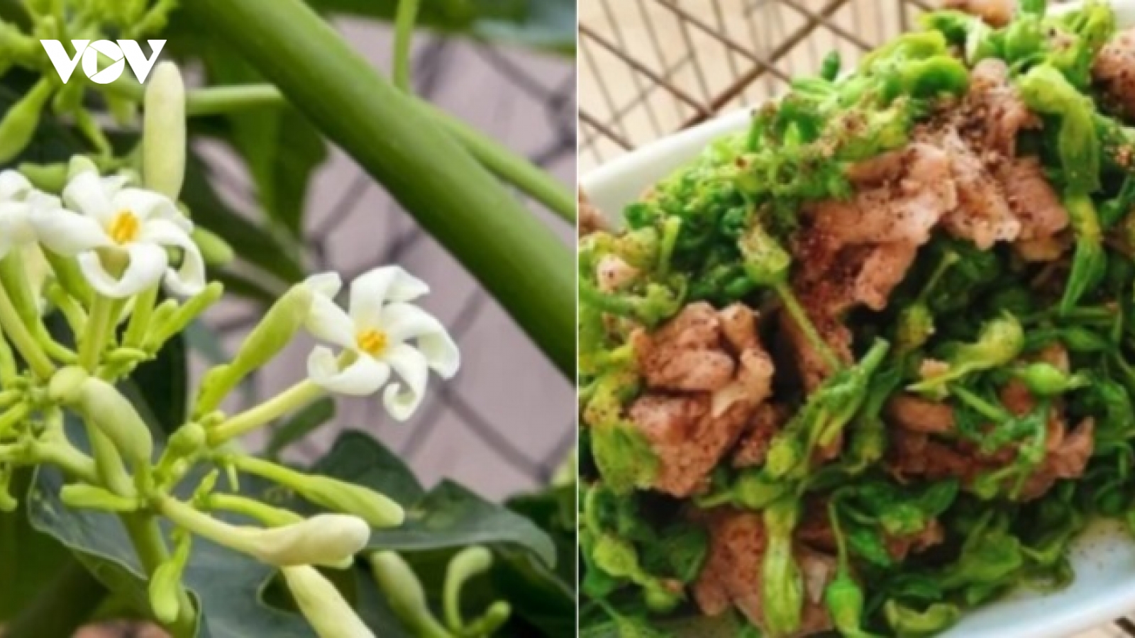 Cách chế biến 5 món ngon từ hoa đu đủ đực
