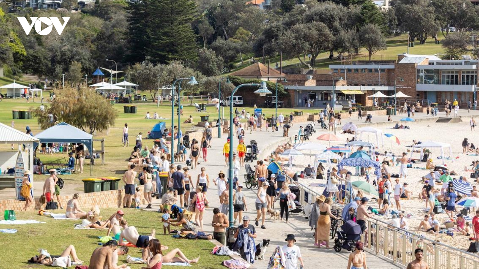Australia cảnh báo cháy rừng ở nhiều nơi vì nắng nóng