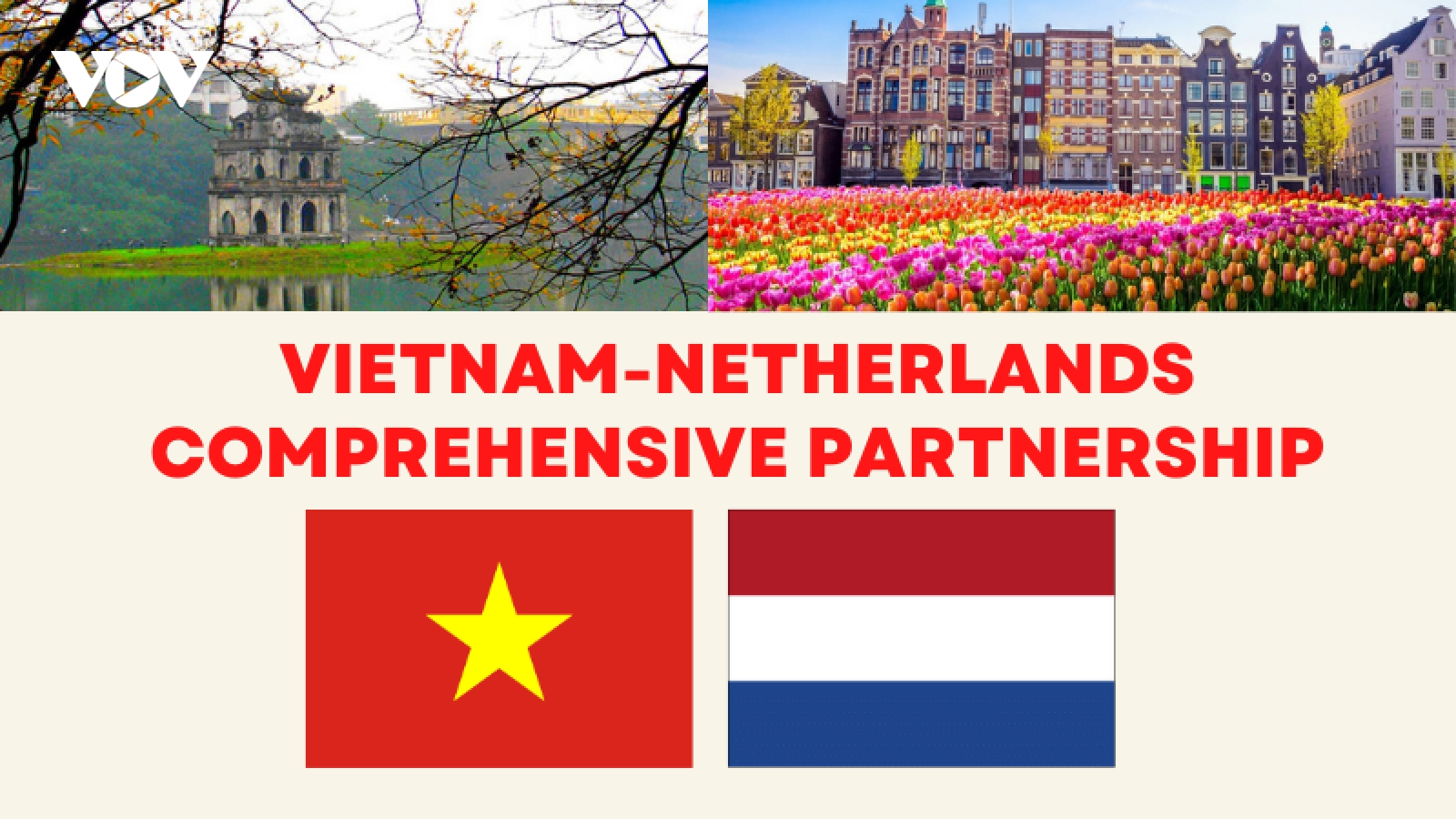 Major milestones in Vietnam-Netherlands comprehensive partnership