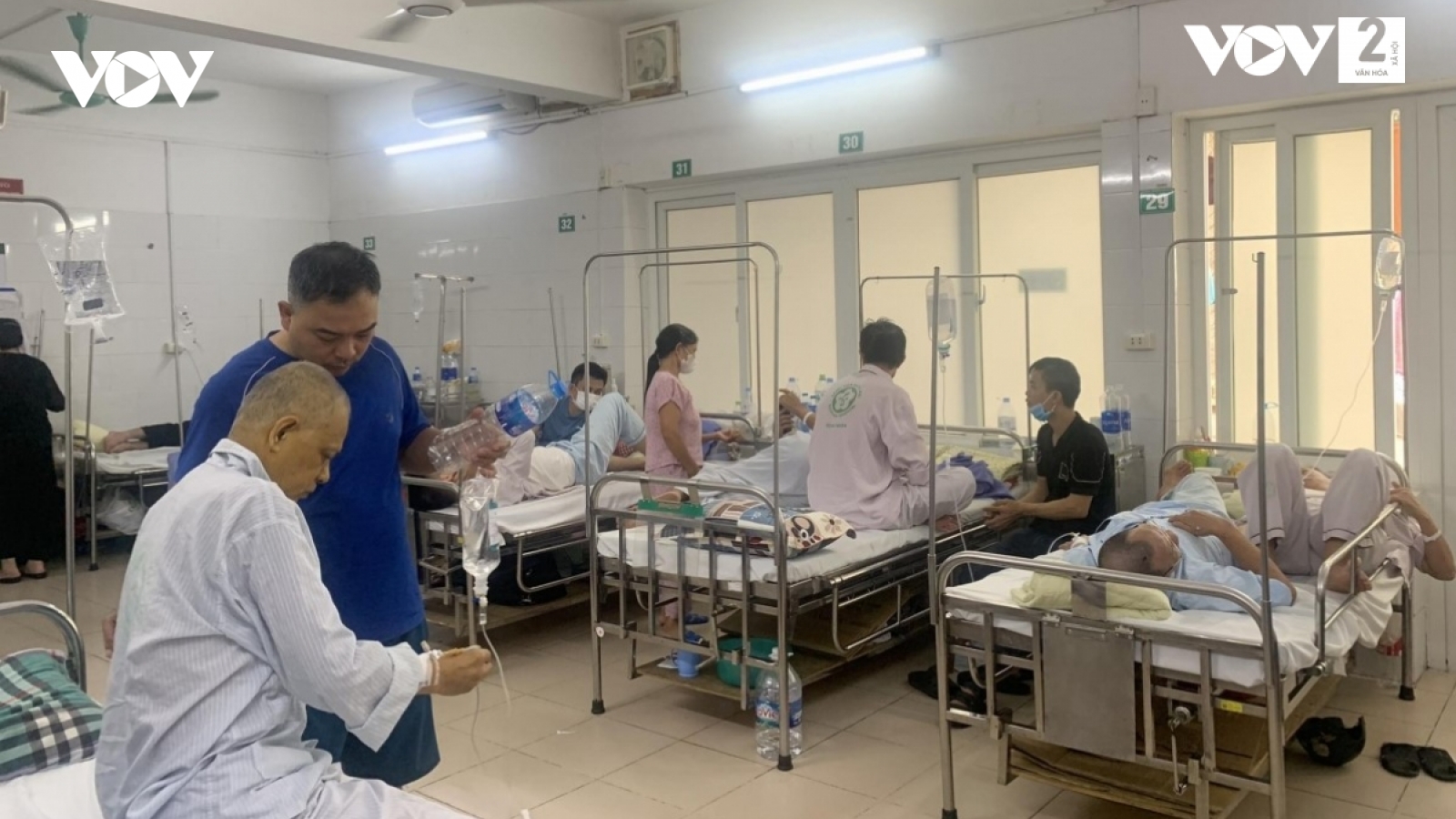 Độc lực virus gây sốt xuất huyết không đổi, bệnh nhân nặng vẫn tăng: Vì sao?