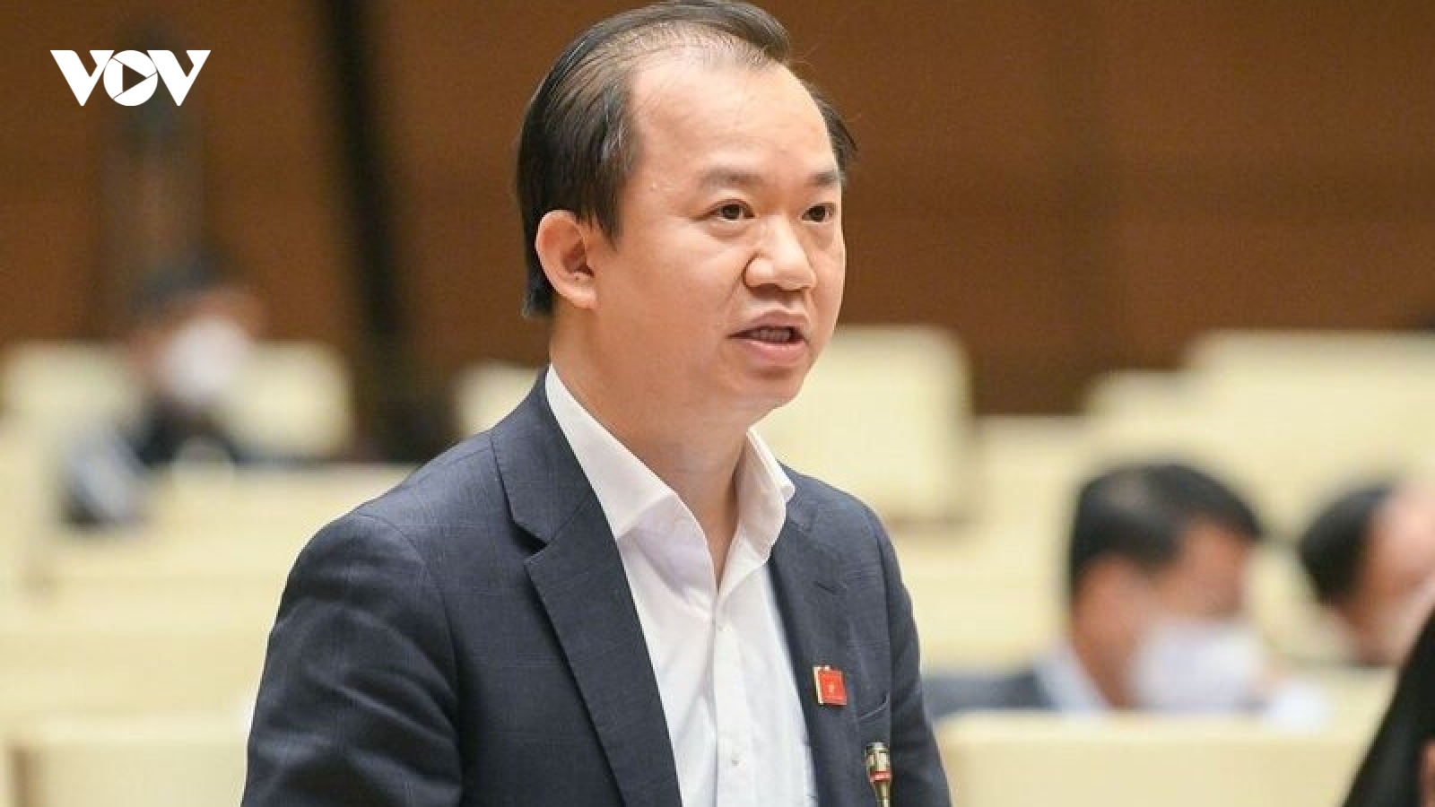 ĐBQH nói gì về bộ phim "Đất rừng phương Nam"?