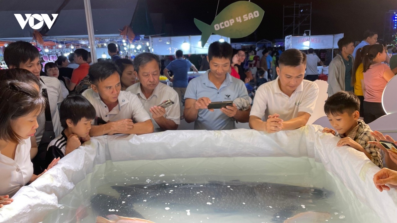 Cá trắm đen "khủng" được bán với giá 65 triệu đồng tại Hòa Bình