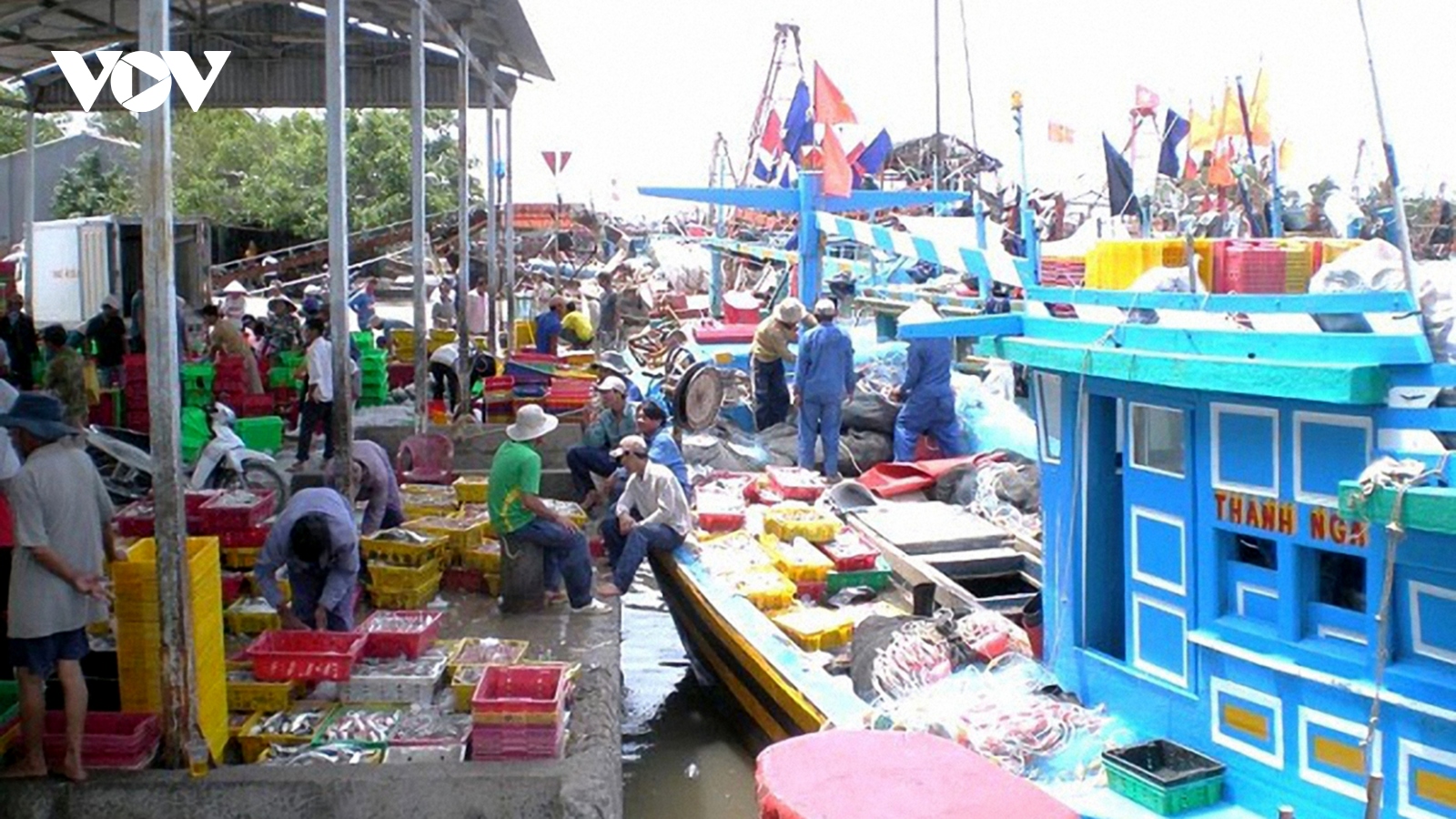 Trà Vinh tập trung khắc phục các hạn chế trong phòng chống khai thác IUU