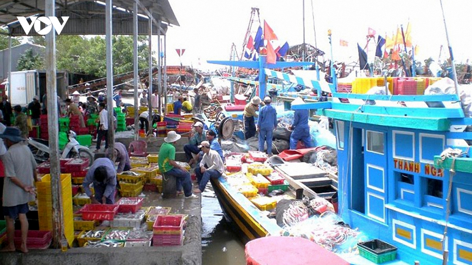 Trà Vinh tập trung khắc phục các hạn chế trong phòng chống khai thác IUU