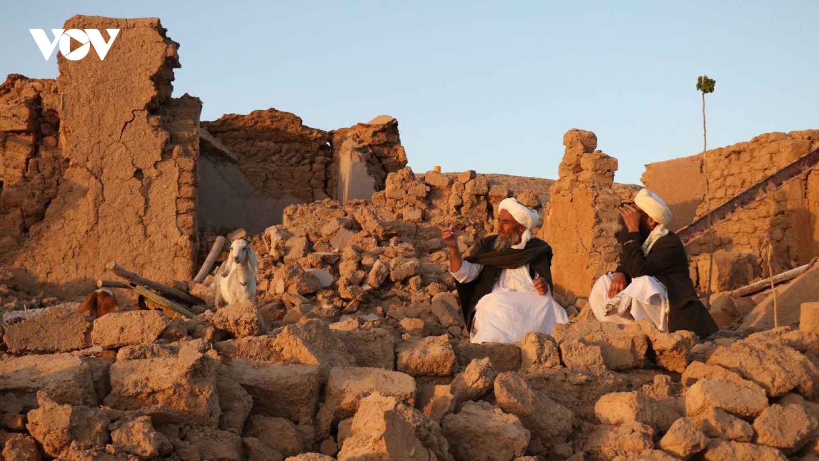 Hơn 500 người đã thiệt mạng vì động đất tại Afghanistan