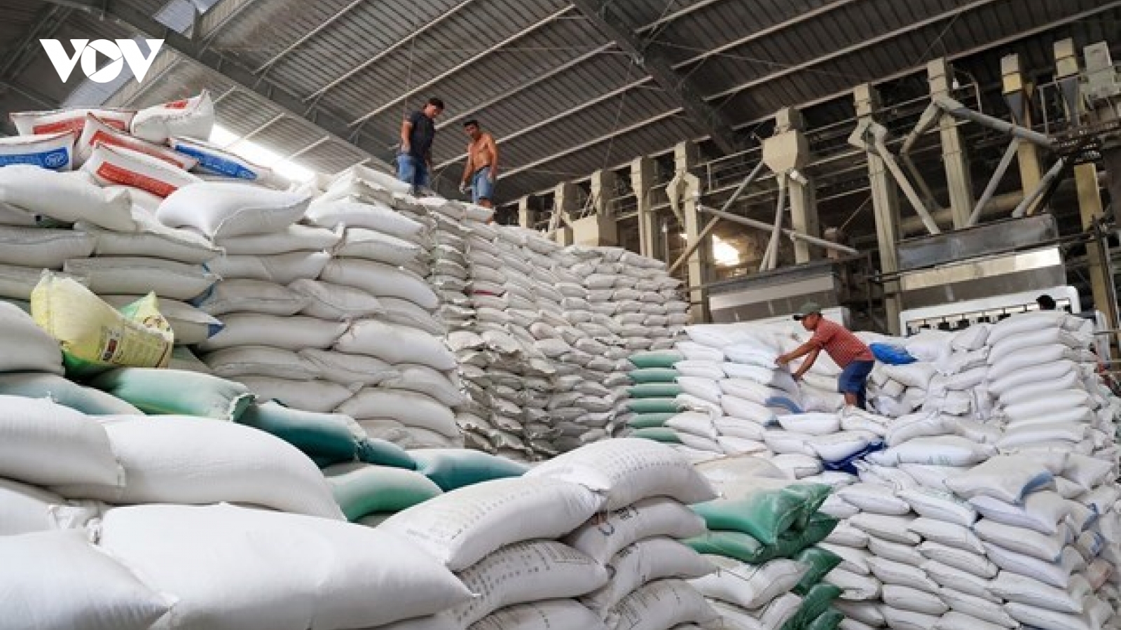 Gạo Việt Nam tiếp tục thiết lập kỷ lục mới