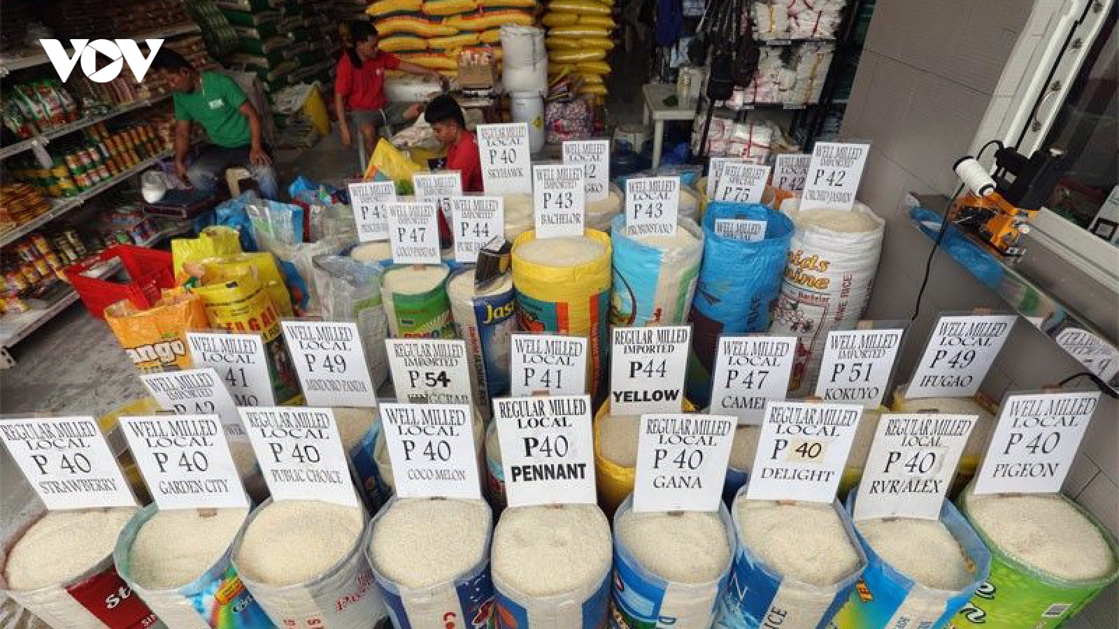 Philippines dỡ bỏ trần giá gạo sau 1 tháng áp dụng