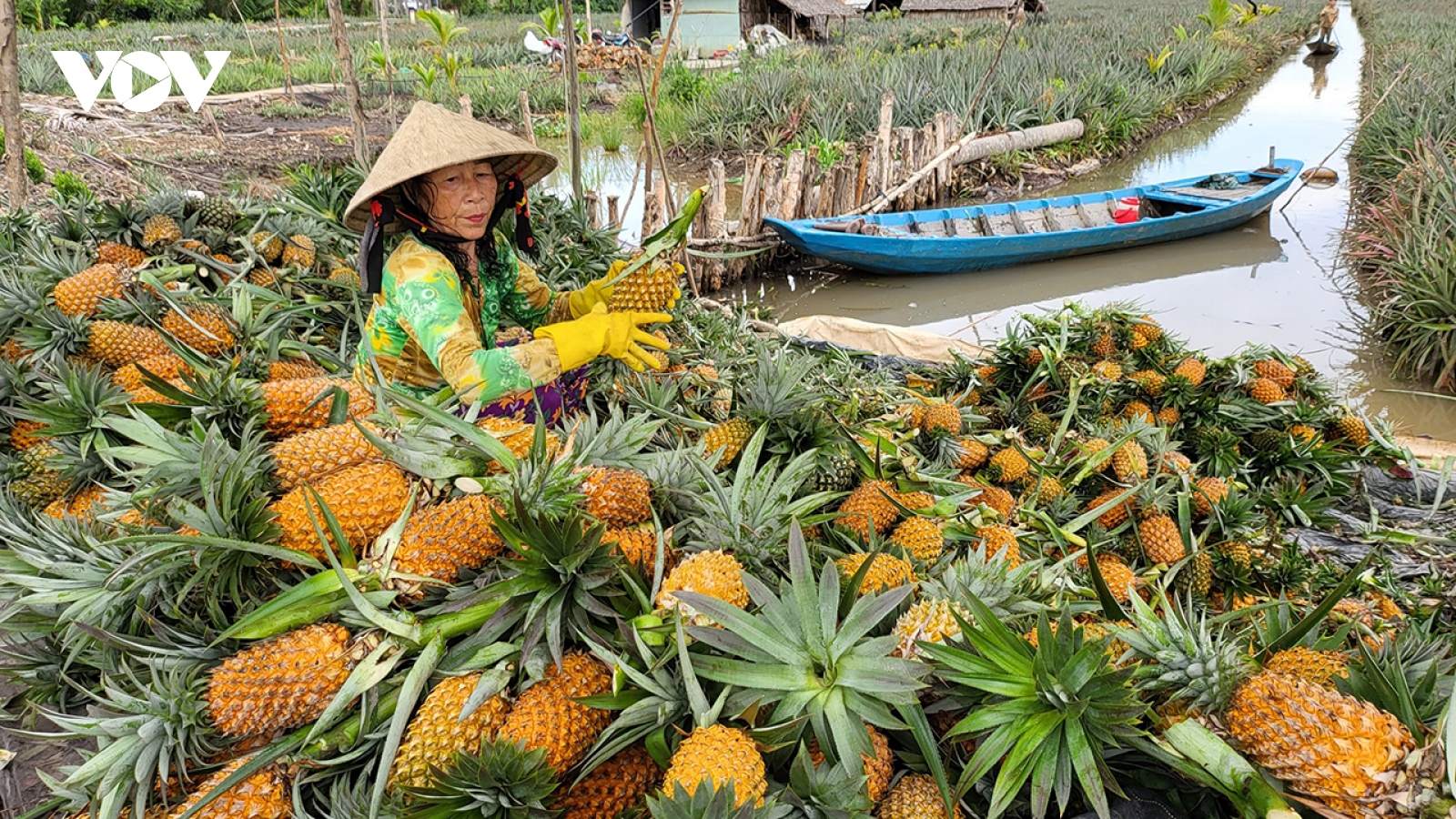 Hậu Giang đang dẫn đầu cả nước về tốc độ tăng trưởng kinh tế