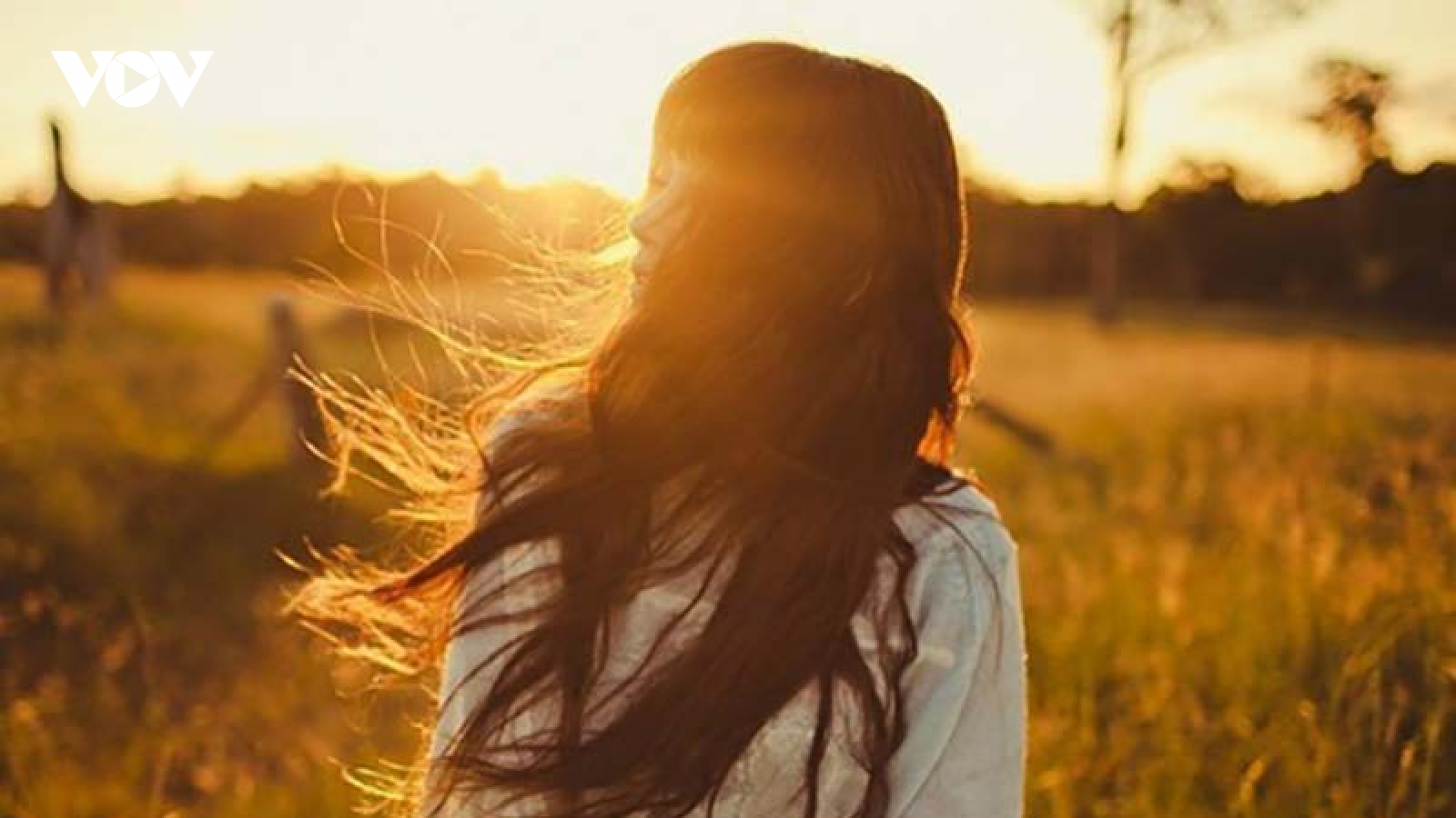 Có nên tin vào mối tình yêu xa với một người chưa từng gặp mặt?