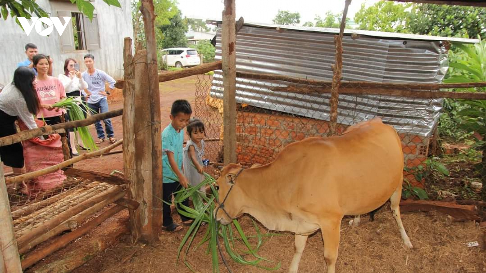 Gia Lai: Trao sinh kế cho trẻ em có hoàn cảnh khó khăn