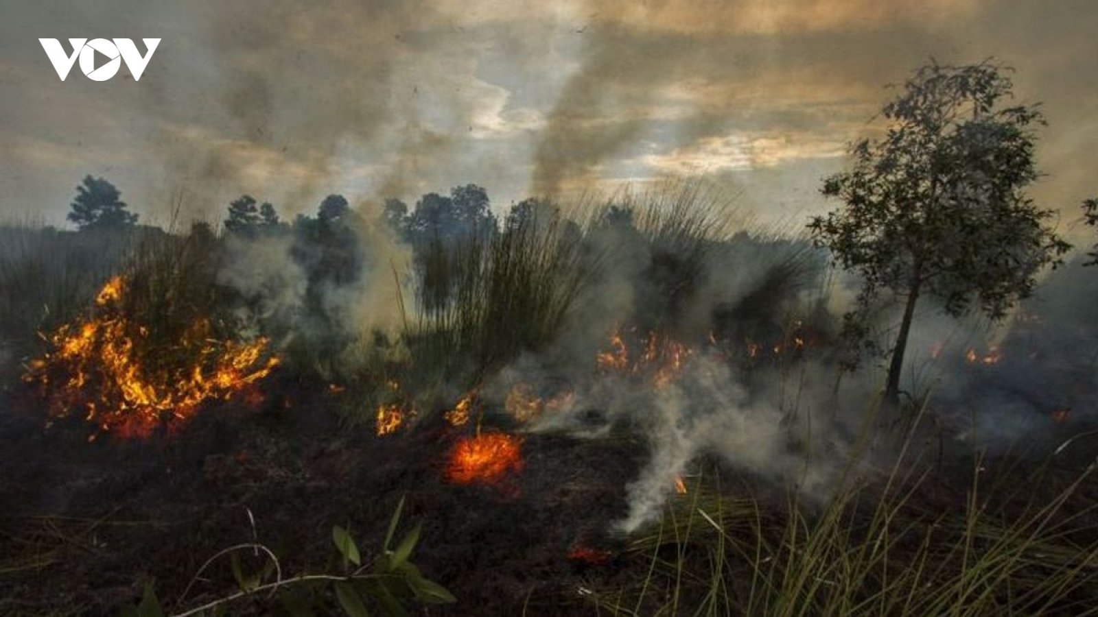 Indonesia khẳng định minh bạch trong giải quyết lo ngại khói mù xuyên biên giới
