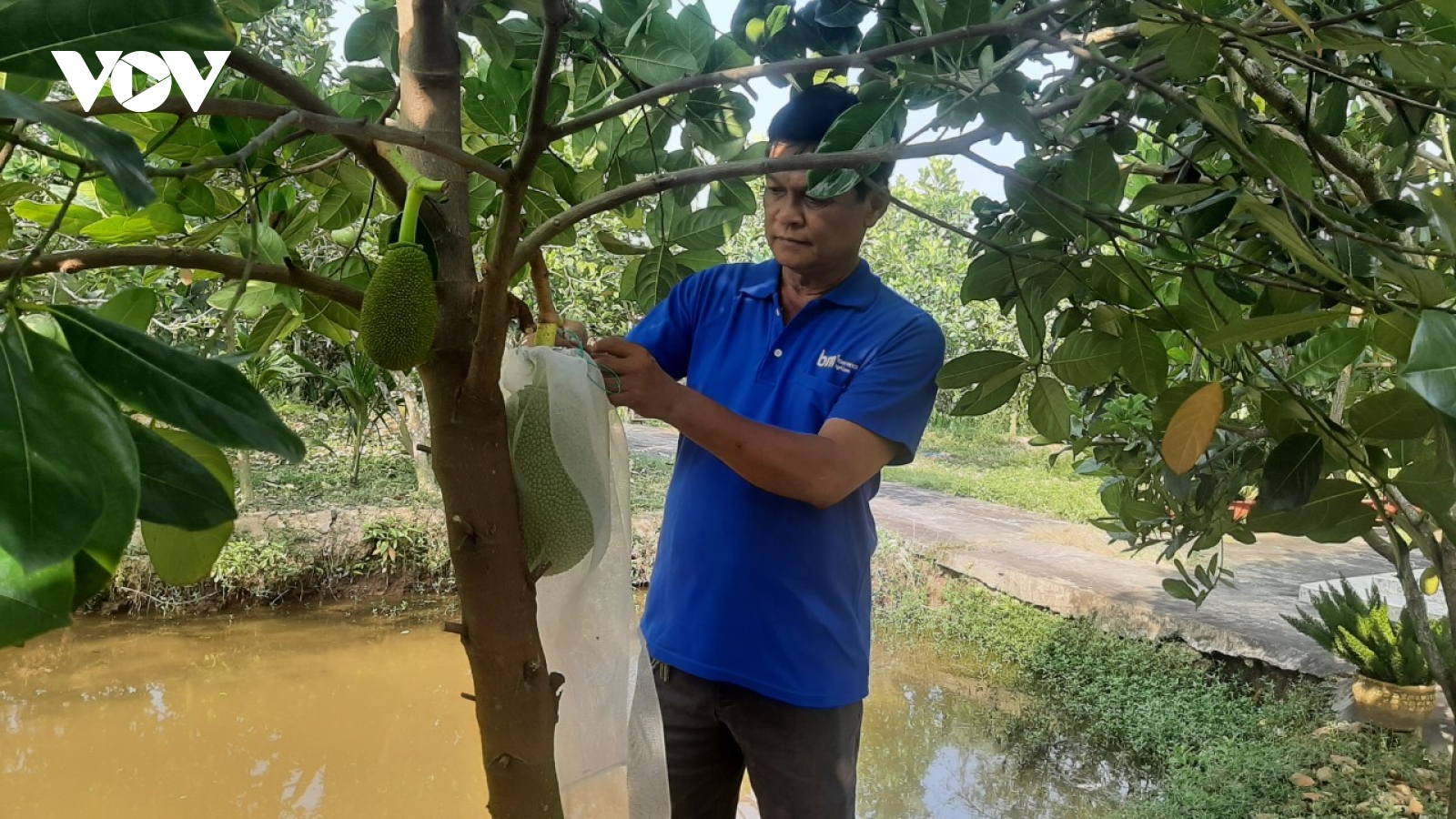 Ngành nông nghiệp Bến Tre chủ động phòng, chống hạn mặn mùa khô