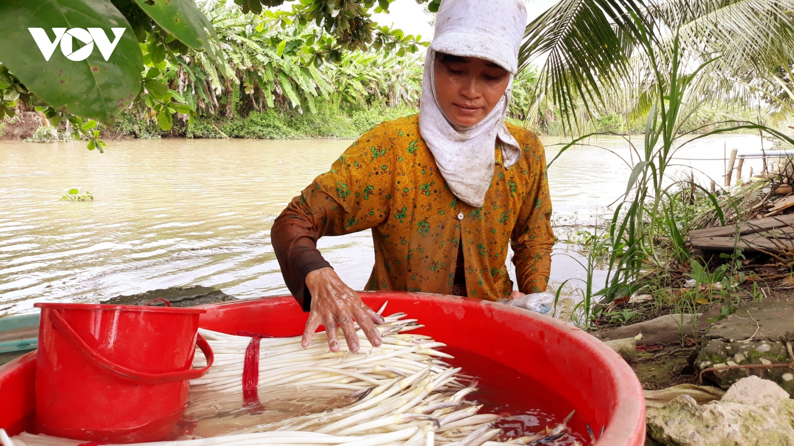 Nhiều mô hình kinh tế hiệu quả của phụ nữ Khmer Sóc Trăng