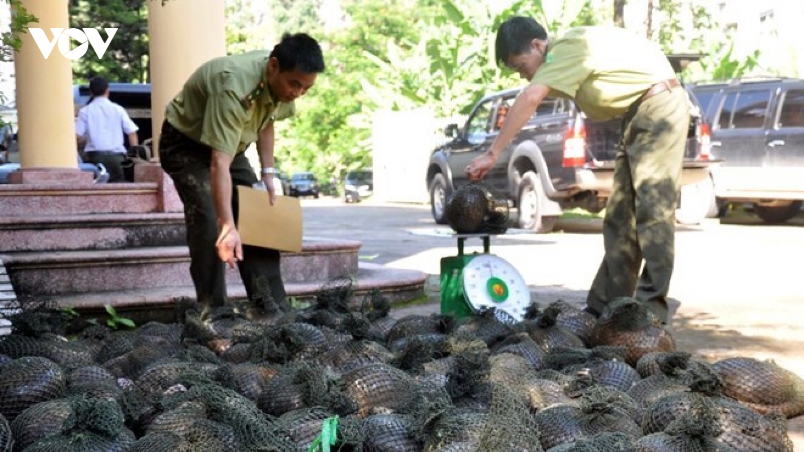Mua bán động vật hoang dã, con người đối mặt với nhiều dịch bệnh truyền nhiễm