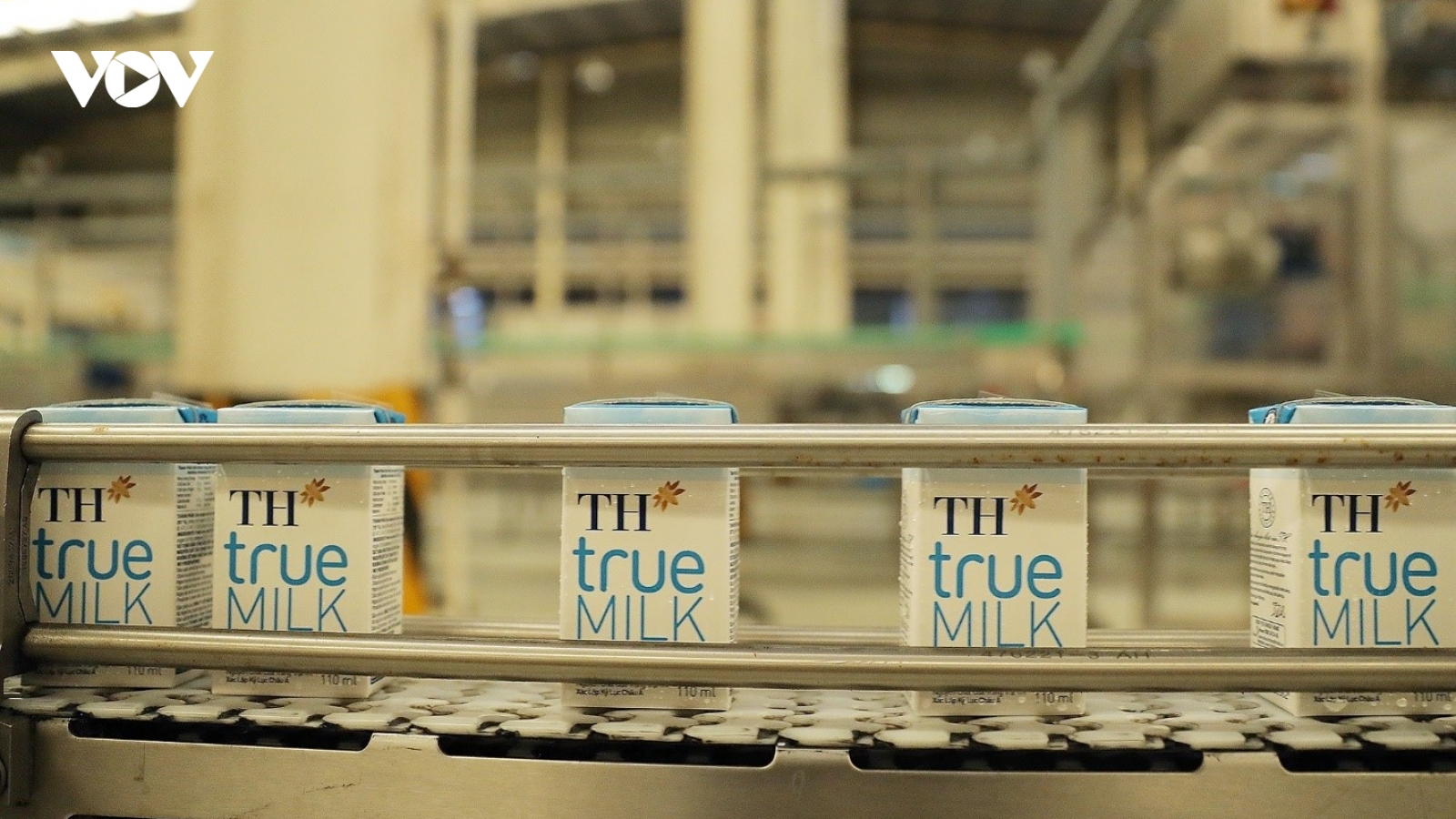 Sữa tươi TH true MILK: Luôn trong top được người Việt ưa chuộng nhất