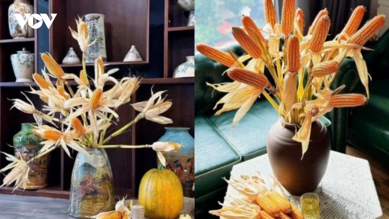 Rộ mốt cắm ngô chơi cả tháng thay hoa tươi