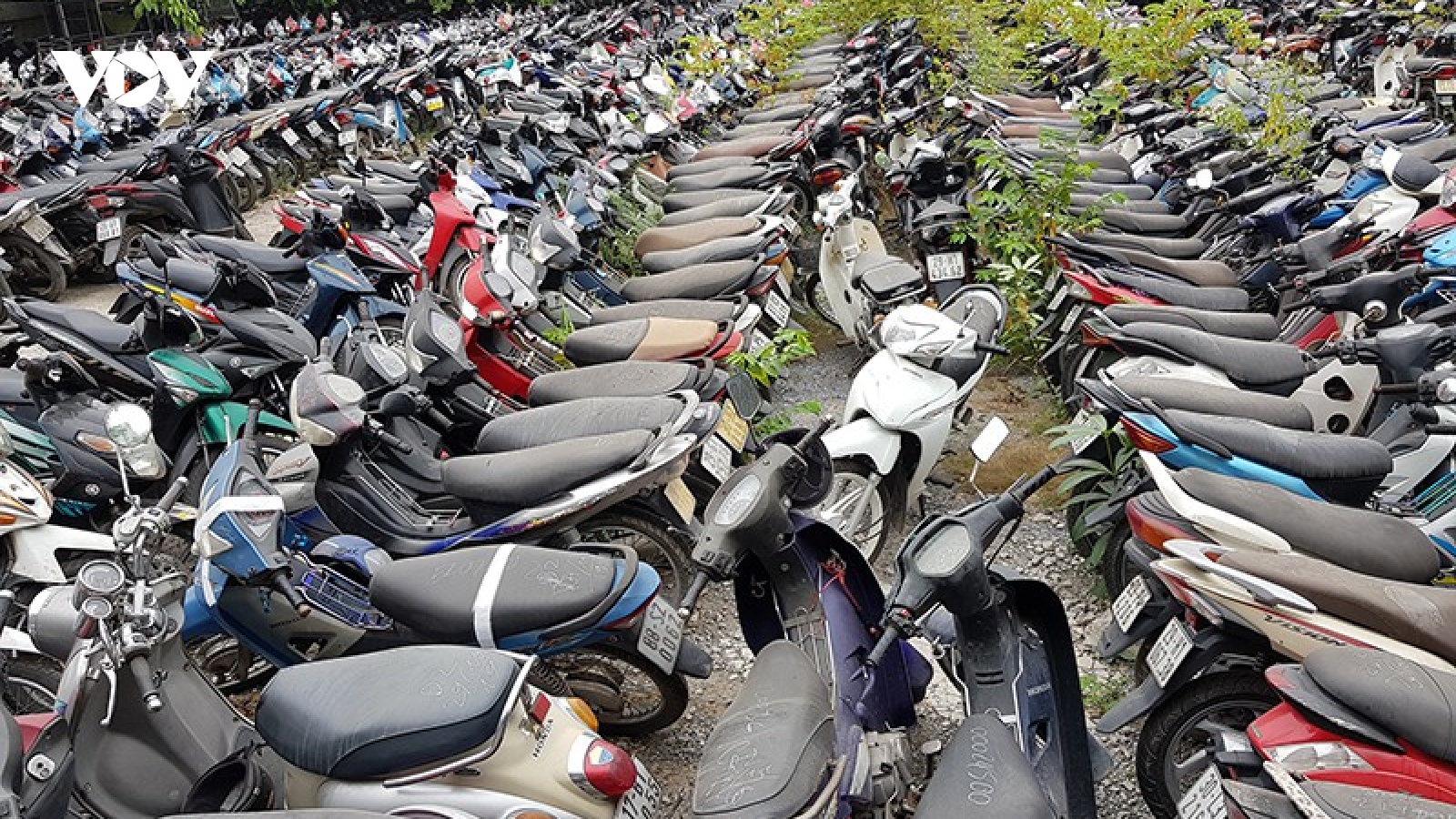 Cảnh sát giao thông có phải bồi thường trong trường hợp xe tạm giữ bị hư hỏng?