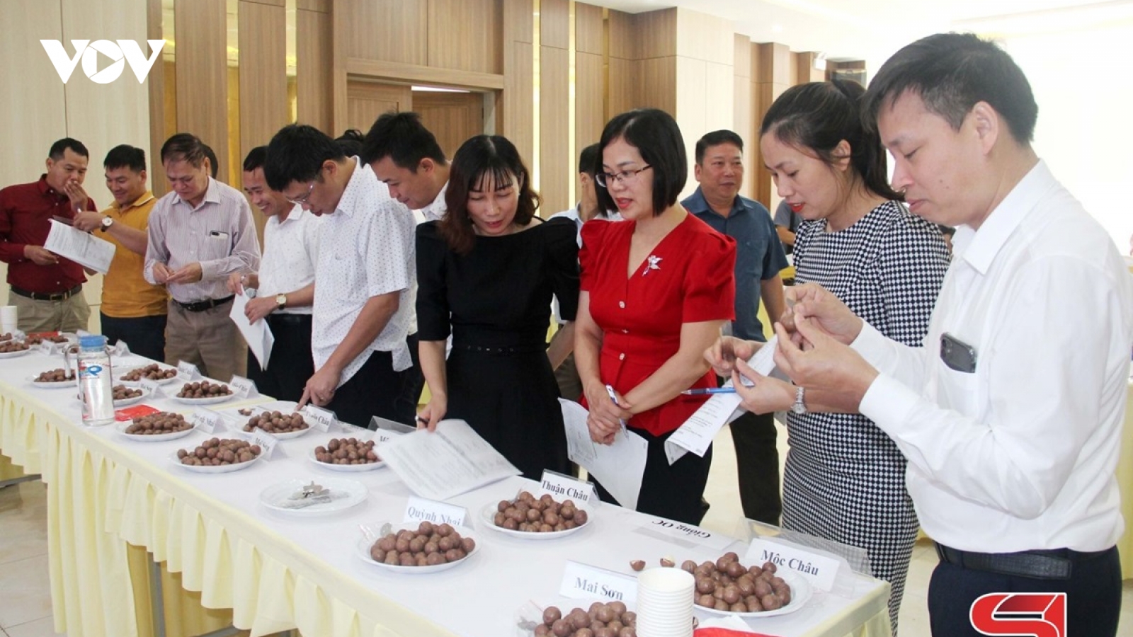 Xây dựng nhãn hiệu “Mắc ca Sơn La”