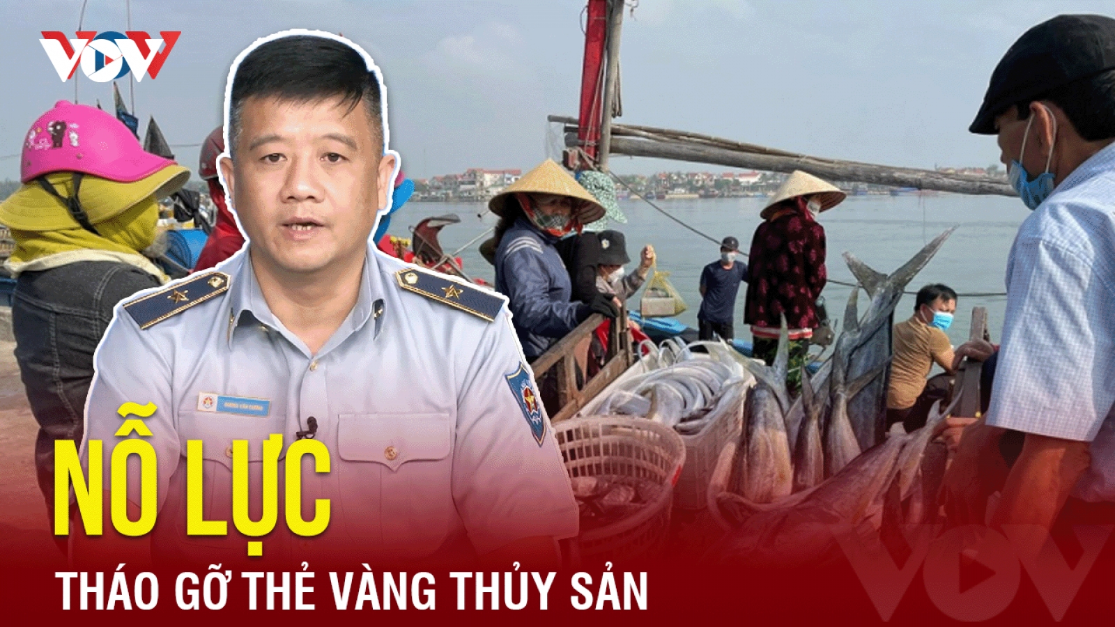 Lực lượng kiểm ngư sát cánh cùng ngư dân gỡ thẻ vàng thủy sản