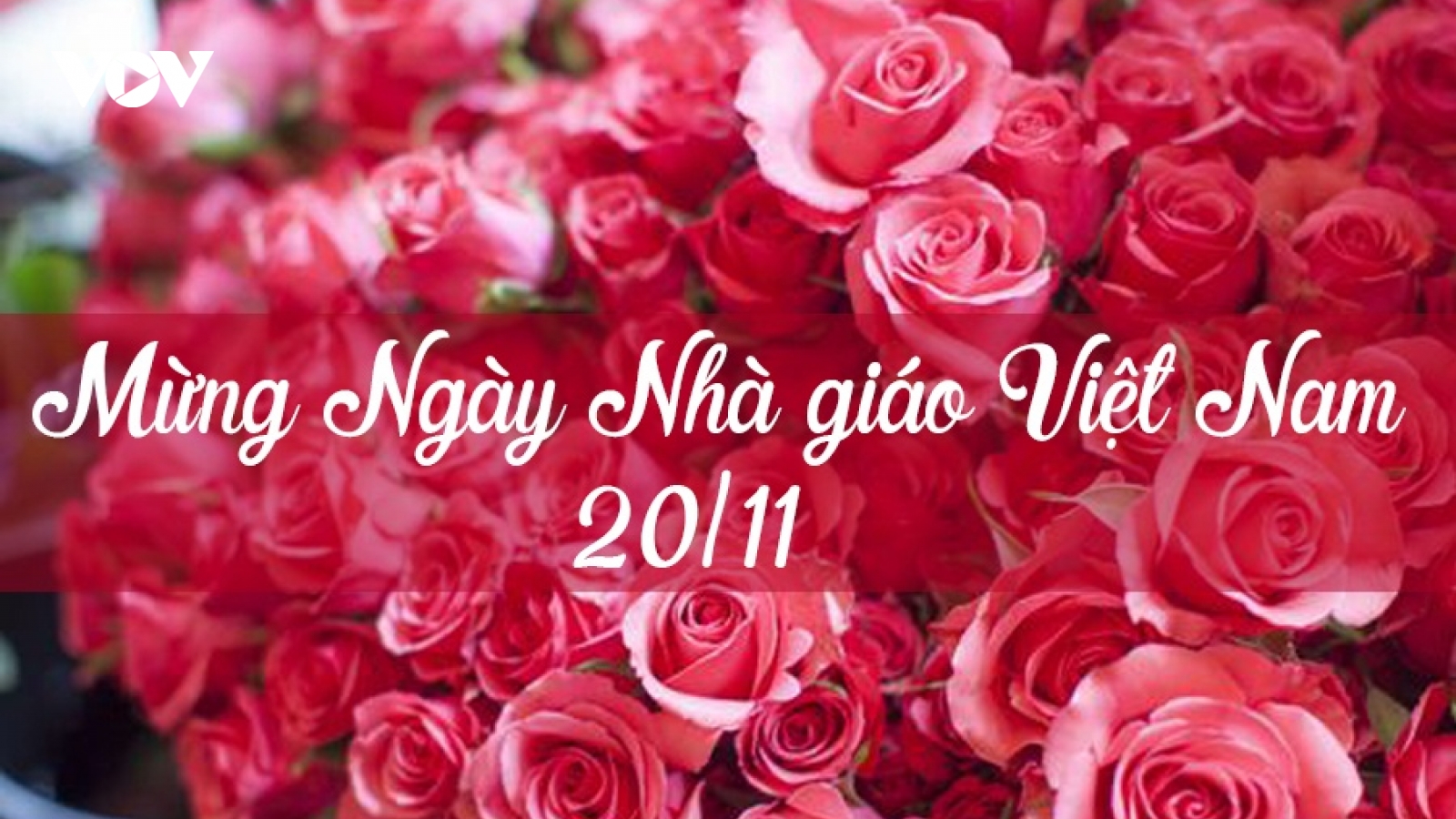 Những lời chúc ý nghĩa dành tặng thầy cô nhân ngày Nhà Giáo Việt Nam