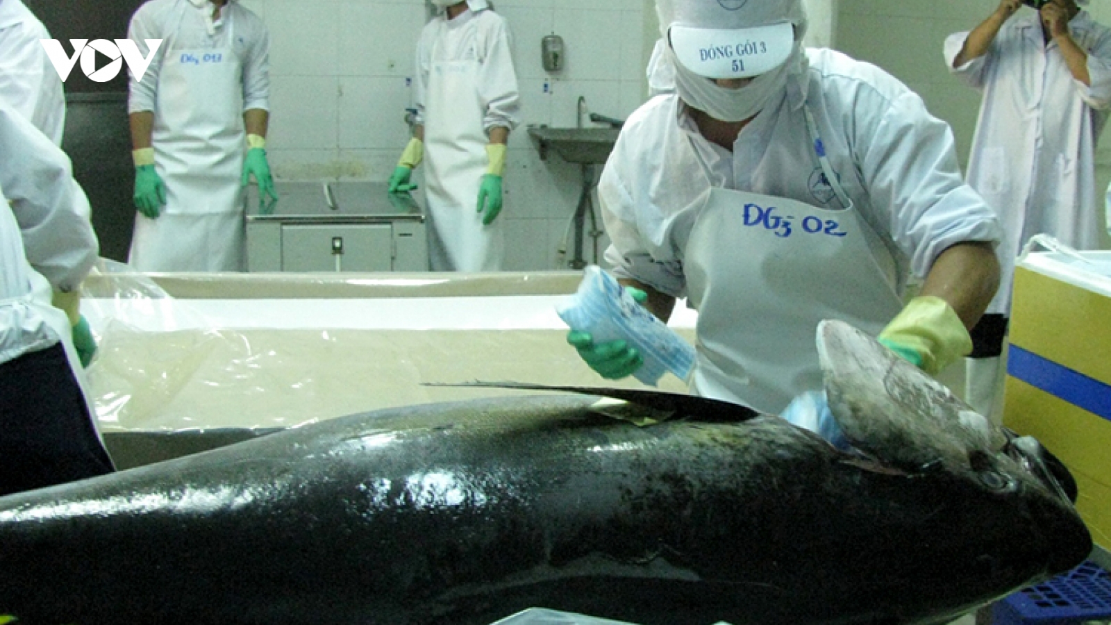 Italy is Vietnam’s largest consumer of tuna in European Union