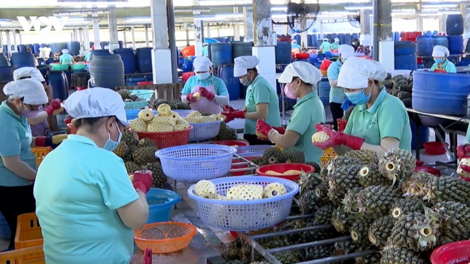 Positive outlook ahead for exports amid global market rally